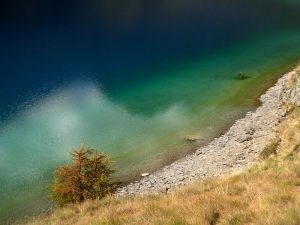 Colori autunnali al Lavodilec di Fenis - Foto di Gian Mario Navillod.